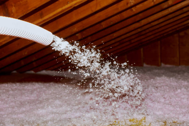 Best Energy Efficiency Solutions in Dunbar, SC
