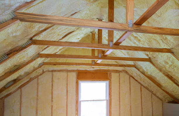 Best Insulation Materials and Products in Dunbar, SC