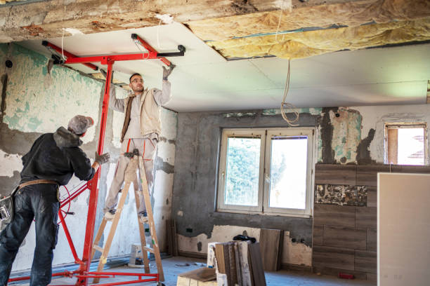 Best Commercial Insulation in Dunbar, SC