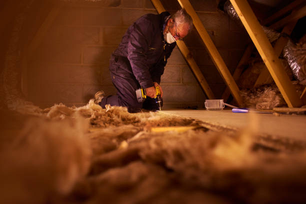 Best Residential Insulation in Dunbar, SC